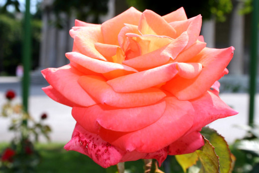 624853 (a): :2700x1800